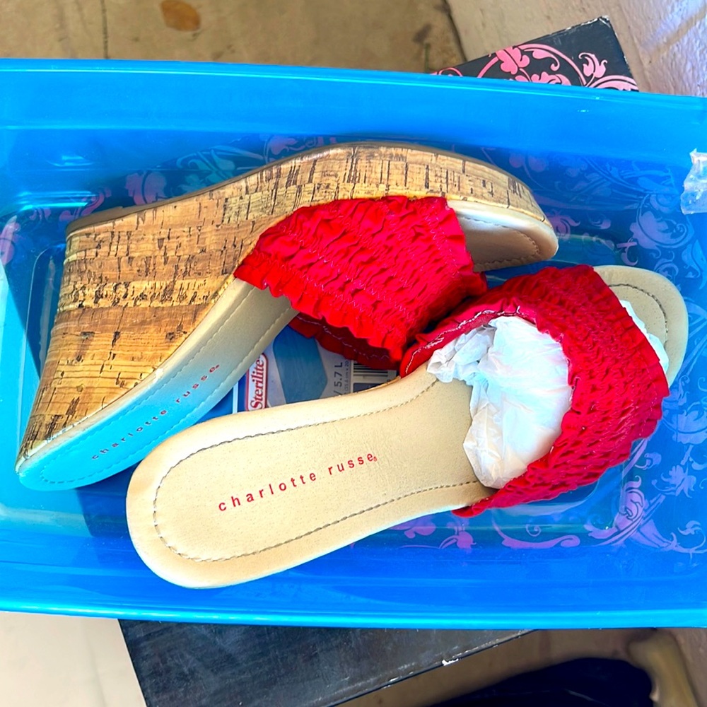 Charlotte Russe wedges